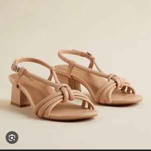 Torrid BNWT size:11ww